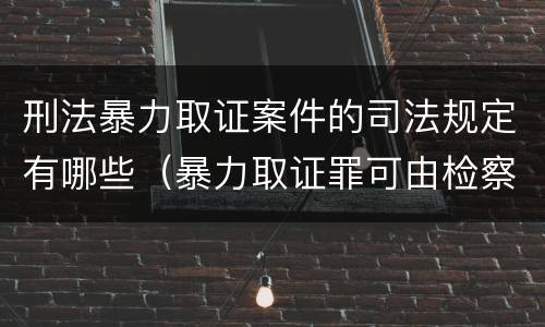 刑法暴力取证案件的司法规定有哪些（暴力取证罪可由检察院立案侦查）