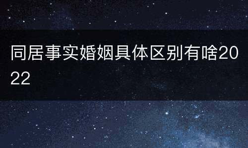 同居事实婚姻具体区别有啥2022