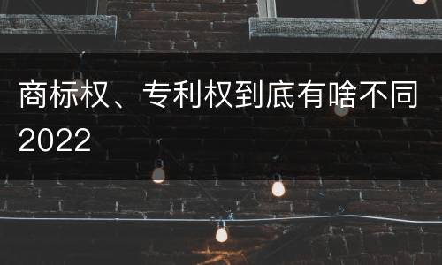 商标权、专利权到底有啥不同2022