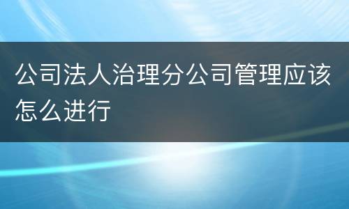 公司法人治理分公司管理应该怎么进行