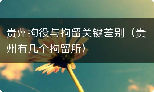 贵州拘役与拘留关键差别（贵州有几个拘留所）