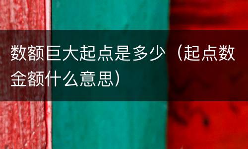 数额巨大起点是多少（起点数金额什么意思）