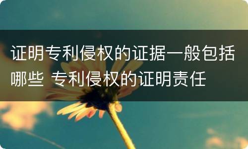 证明专利侵权的证据一般包括哪些 专利侵权的证明责任