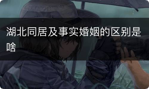 湖北同居及事实婚姻的区别是啥