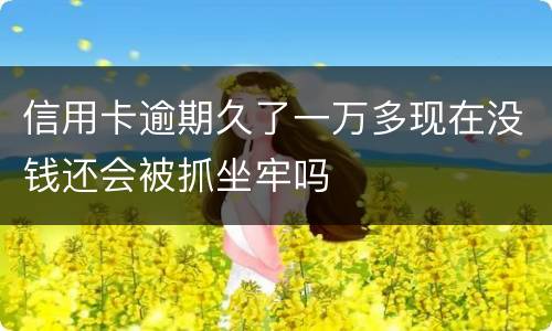 信用卡逾期久了一万多现在没钱还会被抓坐牢吗