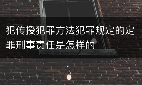 犯传授犯罪方法犯罪规定的定罪刑事责任是怎样的