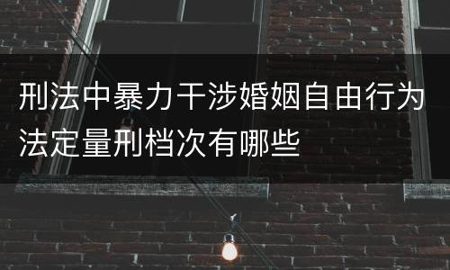 刑法中暴力干涉婚姻自由行为法定量刑档次有哪些