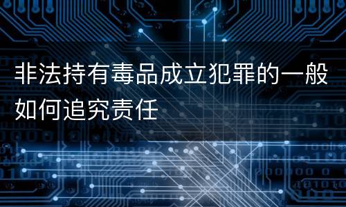非法持有毒品成立犯罪的一般如何追究责任