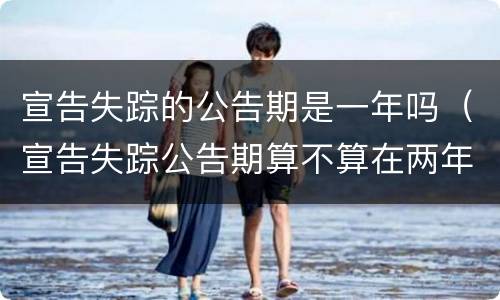 宣告失踪的公告期是一年吗（宣告失踪公告期算不算在两年里）