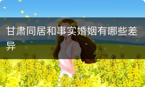 甘肃同居和事实婚姻有哪些差异