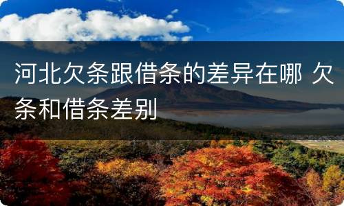 河北欠条跟借条的差异在哪 欠条和借条差别