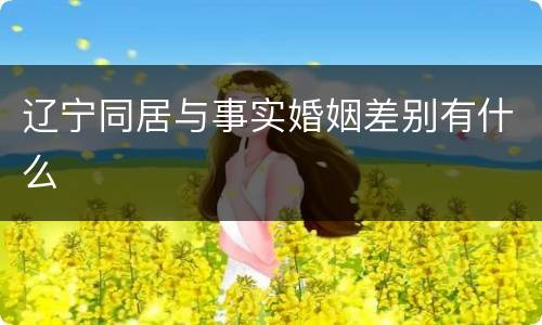 辽宁同居与事实婚姻差别有什么