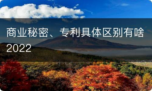 商业秘密、专利具体区别有啥2022