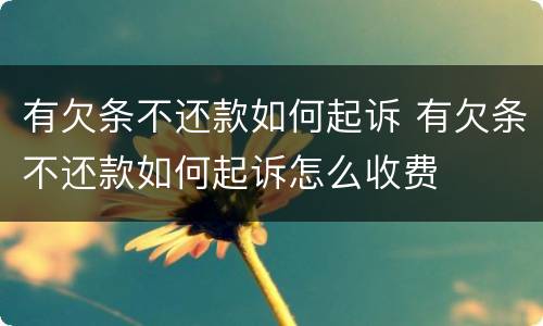 有欠条不还款如何起诉 有欠条不还款如何起诉怎么收费