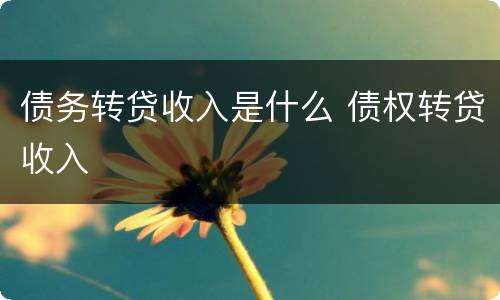 债务转贷收入是什么 债权转贷收入