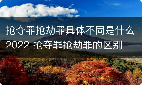抢夺罪抢劫罪具体不同是什么2022 抢夺罪抢劫罪的区别
