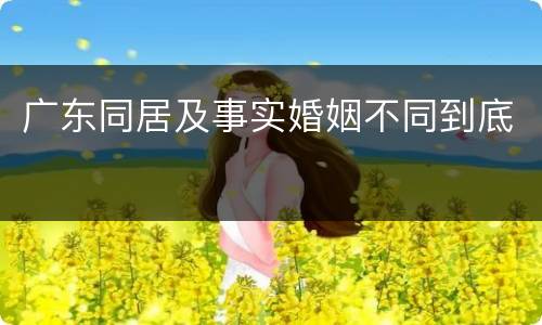 广东同居及事实婚姻不同到底