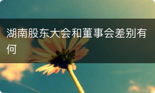 湖南股东大会和董事会差别有何