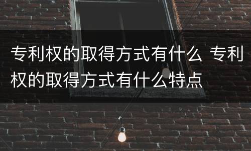 专利权的取得方式有什么 专利权的取得方式有什么特点