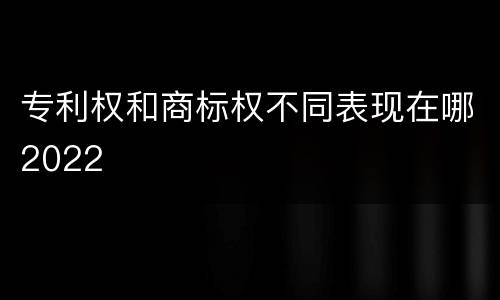 专利权和商标权不同表现在哪2022
