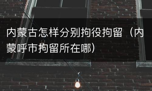 内蒙古怎样分别拘役拘留（内蒙呼市拘留所在哪）