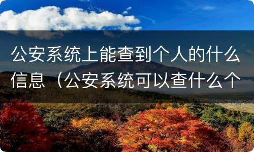 公安系统上能查到个人的什么信息（公安系统可以查什么个人信息）