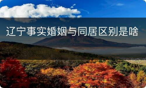 辽宁事实婚姻与同居区别是啥
