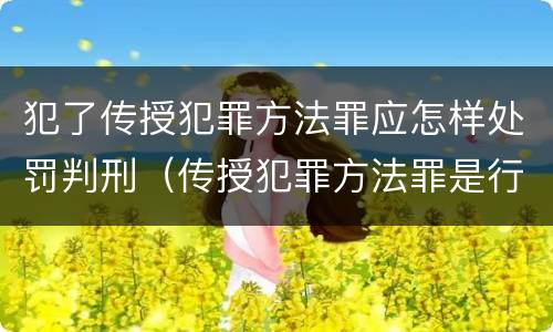 犯了传授犯罪方法罪应怎样处罚判刑（传授犯罪方法罪是行为犯吗）