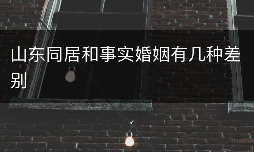 山东同居和事实婚姻有几种差别