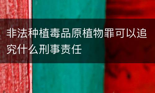 非法种植毒品原植物罪可以追究什么刑事责任