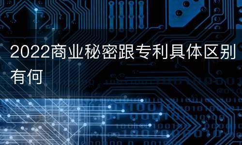 2022商业秘密跟专利具体区别有何