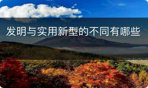 发明与实用新型的不同有哪些