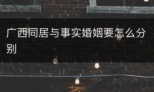 广西同居与事实婚姻要怎么分别