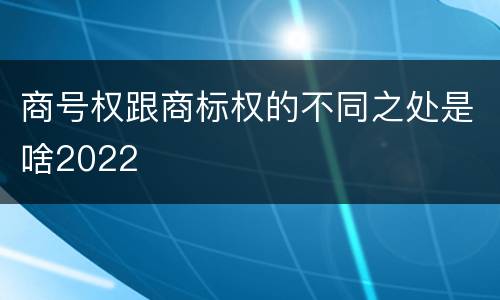 商号权跟商标权的不同之处是啥2022