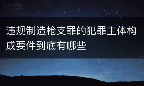 违规制造枪支罪的犯罪主体构成要件到底有哪些