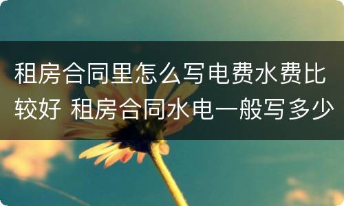 租房合同里怎么写电费水费比较好 租房合同水电一般写多少