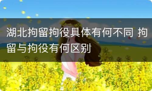 湖北拘留拘役具体有何不同 拘留与拘役有何区别