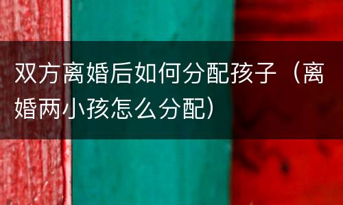 双方离婚后如何分配孩子（离婚两小孩怎么分配）
