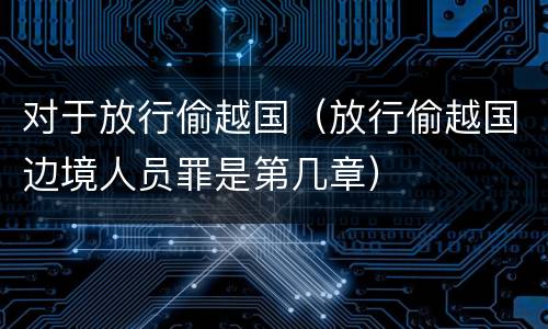 对于放行偷越国（放行偷越国边境人员罪是第几章）
