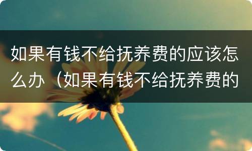 如果有钱不给抚养费的应该怎么办（如果有钱不给抚养费的应该怎么办呀）
