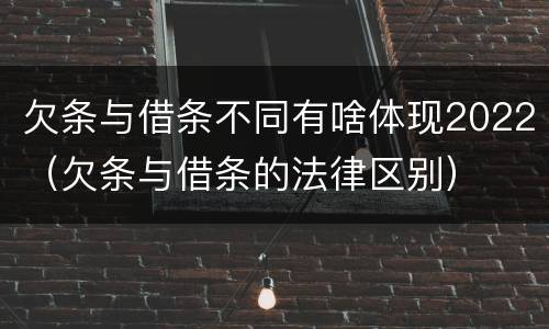 欠条与借条不同有啥体现2022（欠条与借条的法律区别）