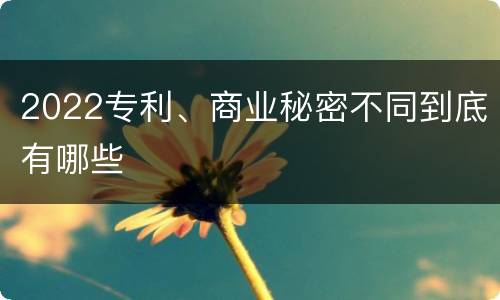 2022专利、商业秘密不同到底有哪些