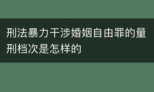 刑法暴力干涉婚姻自由罪的量刑档次是怎样的
