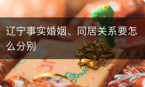 辽宁事实婚姻、同居关系要怎么分别