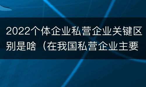 2022个体企业私营企业关键区别是啥（在我国私营企业主要包括哪些形式）