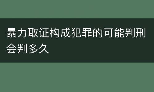 暴力取证构成犯罪的可能判刑会判多久