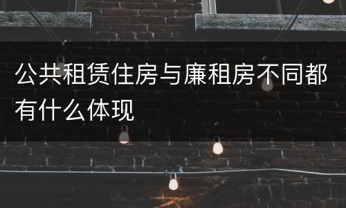 公共租赁住房与廉租房不同都有什么体现