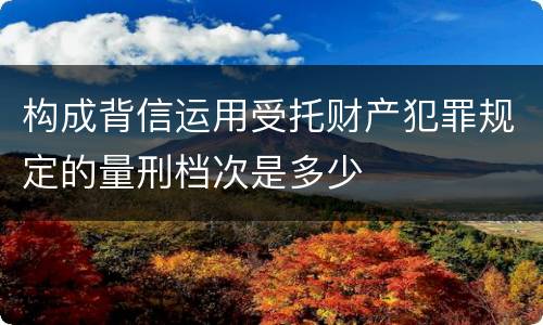 构成背信运用受托财产犯罪规定的量刑档次是多少