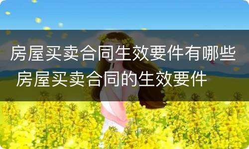 房屋买卖合同生效要件有哪些 房屋买卖合同的生效要件