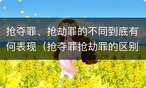 抢夺罪、抢劫罪的不同到底有何表现（抢夺罪抢劫罪的区别）